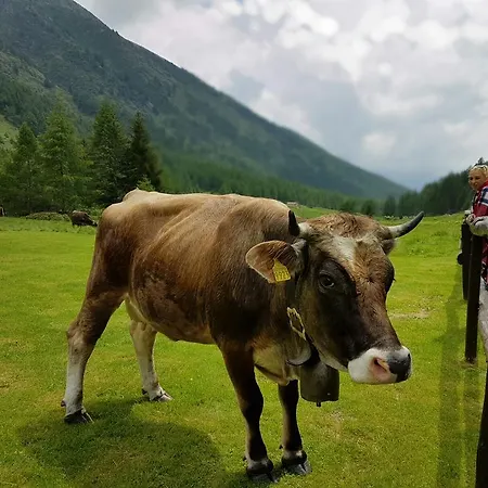 Chalet Bramito